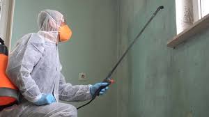 Why You Should Choose Our Mold Remediation Services in Blue Island, IL