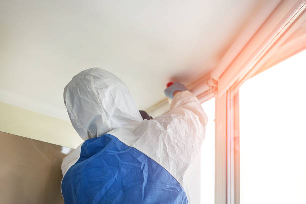 Mold Remediation for Vacation Homes in Blue Island, IL